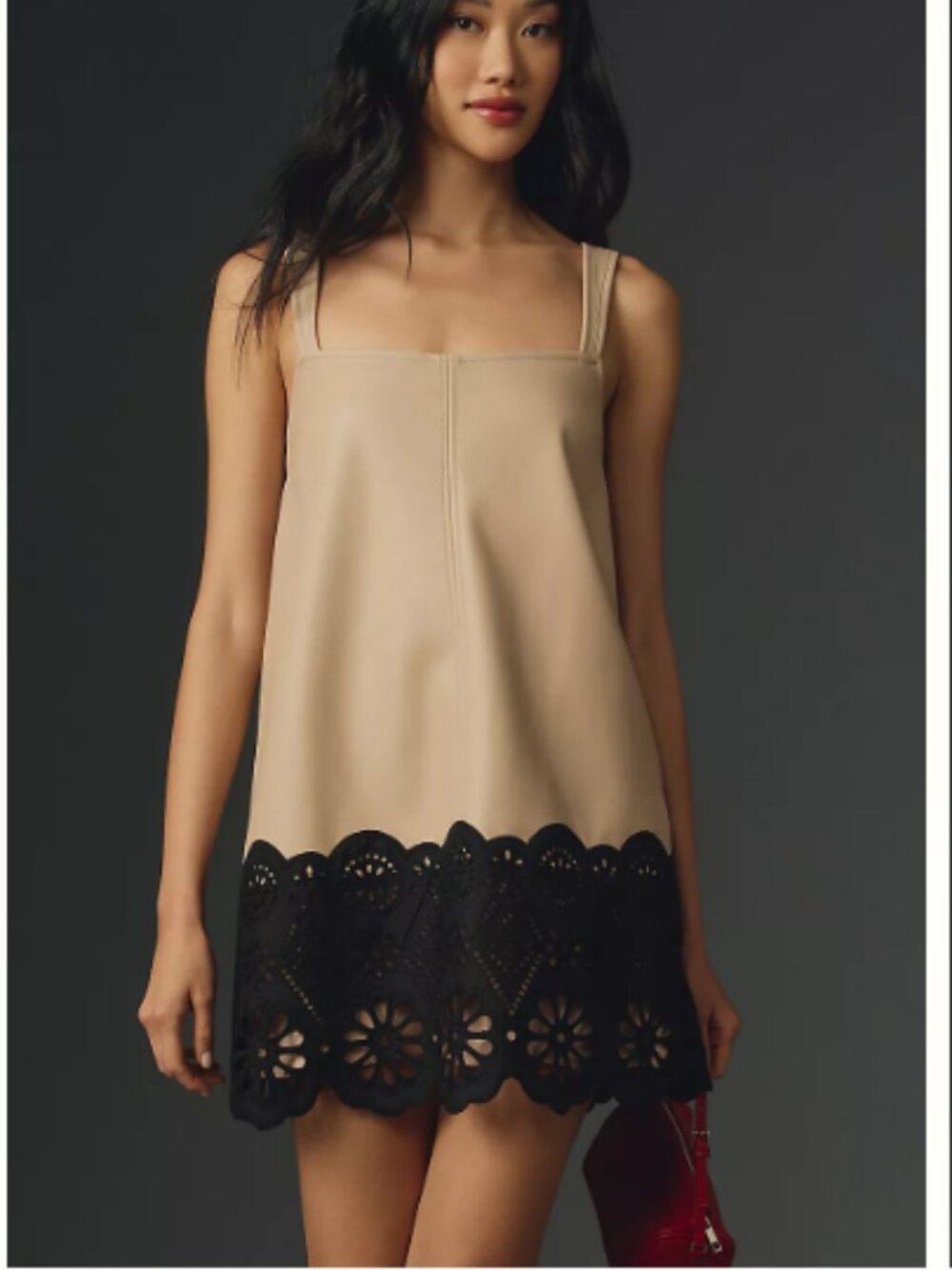 ANTHROPOLOGIE (NWT) Tan Black Lace Scalloped Mini Dress, Size 12